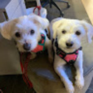 Meet your Posher, Rita baomony